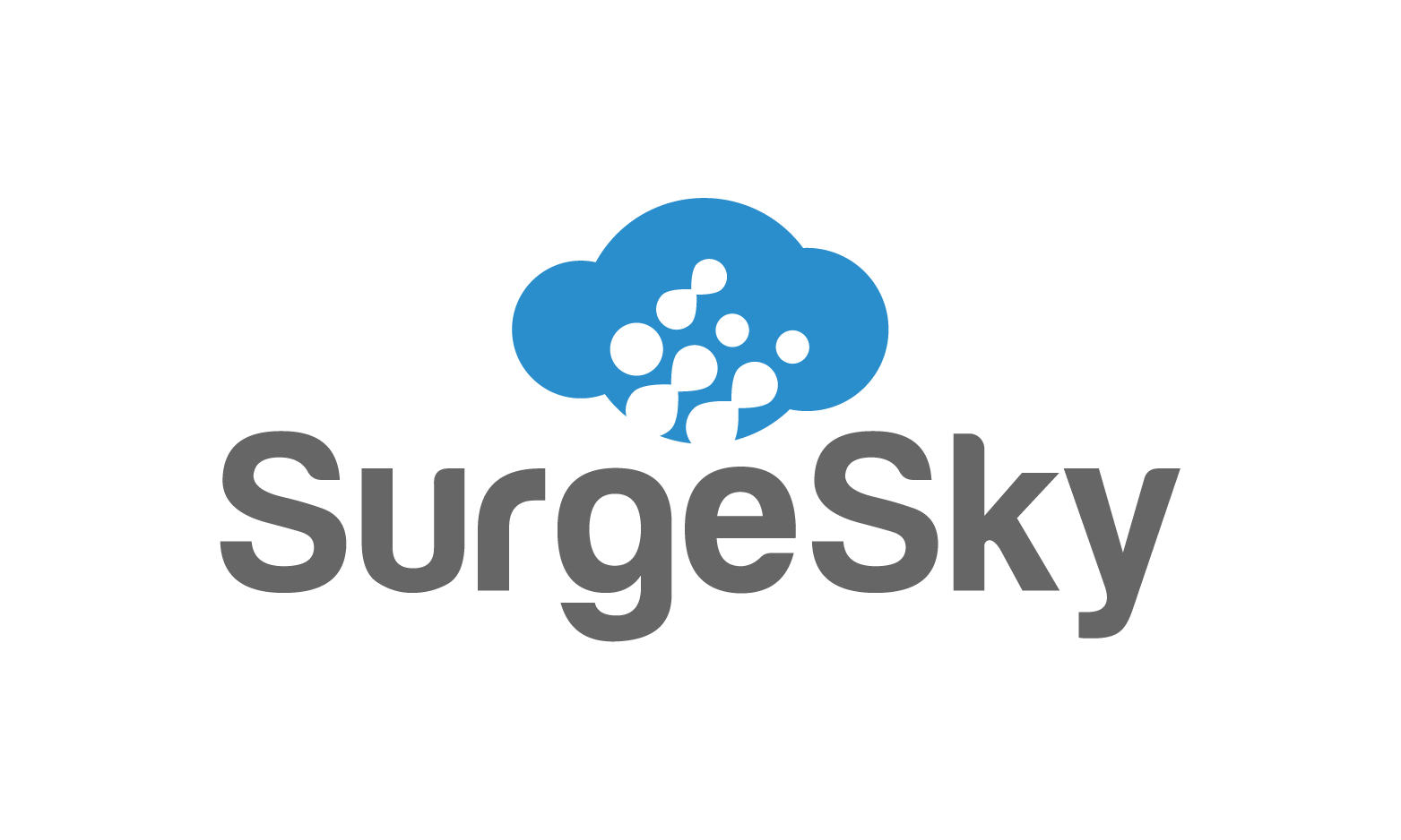 SurgeSky.com - buy Catchy premium names